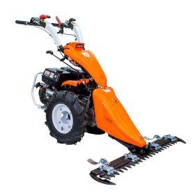 Motocultivator RURIS 977 S + Freza de sapat S 977  16 CP