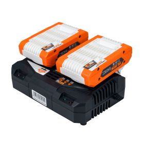 Incarcator dublu RURIS  44e 20 V