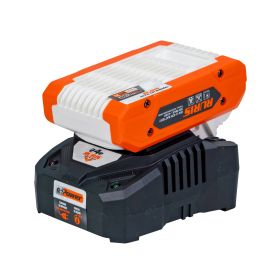 Kit acumulator + incarcator RURIS Alfa UP 2424e 20 V