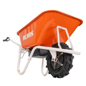 Roaba Autopropulsata RURIS  RTS2000 Electric 500W