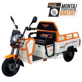Triciclu electric Cargo RURIS PILOT 3110 A 2000 W