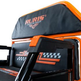 Triciclu electric Cargo RURIS PILOT 3110 A 2000 W