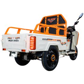 Triciclu electric Cargo RURIS PILOT 3110 A 2000 W