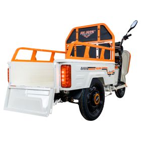 Triciclu electric Cargo RURIS PILOT 3110 A 2000 W