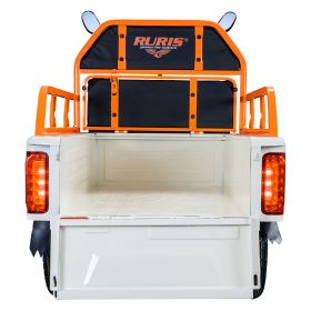 Triciclu electric Cargo RURIS PILOT 3110 A 2000 W