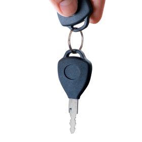 Triciclu electric Cargo RURIS PILOT 3110 G 2000 W