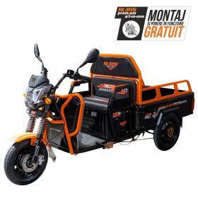 Triciclu electric Cargo RURIS PILOT 3110 N 2000 W