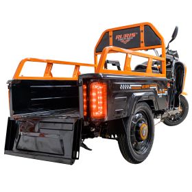 Triciclu electric Cargo RURIS PILOT 3110 N 2000 W