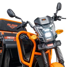 Triciclu electric Cargo RURIS PILOT 3110 N 2000 W