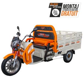 Triciclu electric Cargo RURIS PILOT 3130 A  3600 W