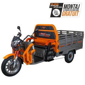 Triciclu electric Cargo RURIS PILOT 3130 G  3600 W