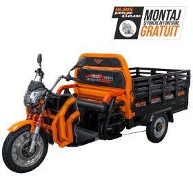 Triciclu electric Cargo RURIS PILOT 3130 N  3600 W