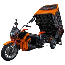 Triciclu electric Cargo RURIS PILOT 3130 N  3600 W