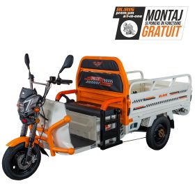 Triciclu electric Cargo RURIS PILOT 3120 A 2000 W