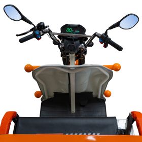 Triciclu electric Cargo RURIS PILOT 3120 A 2000 W