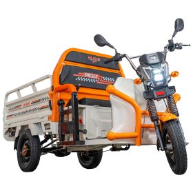Triciclu electric Cargo RURIS PILOT 3120 A 2000 W