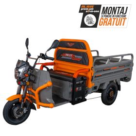 Triciclu electric Cargo RURIS PILOT 3120 G 2000 W