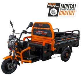 Triciclu electric Cargo RURIS PILOT 3120 N 2000 W