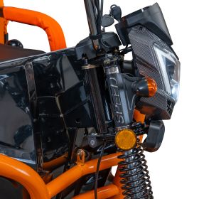 Triciclu electric Cargo RURIS PILOT 3120 N 2000 W