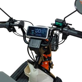 Triciclu electric Cargo RURIS PILOT 3020 A 2000 W