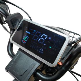 Triciclu electric Cargo RURIS PILOT 3020 A 2000 W