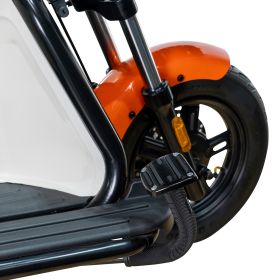 Triciclu electric Cargo RURIS PILOT 3020 A 2000 W