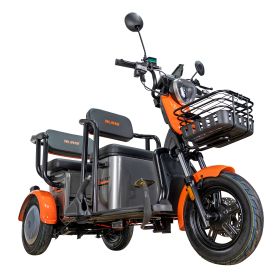 Triciclu electric Cargo RURIS PILOT 3020 G 2000 W