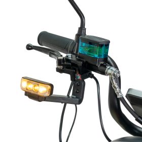 Triciclu electric Cargo RURIS PILOT 3020 G 2000 W