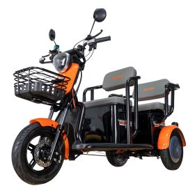 Triciclu electric Cargo RURIS PILOT 3020 N 2000 W