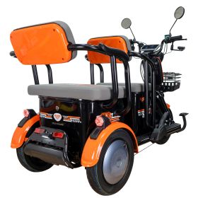Triciclu electric Cargo RURIS PILOT 3020 N 2000 W