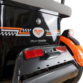 Triciclu electric Cargo RURIS PILOT 3020 N 2000 W