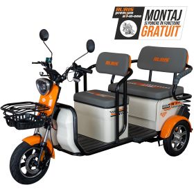 Triciclu electric Cargo RURIS PILOT 3040 A 2000 W