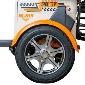 Triciclu electric Cargo RURIS PILOT 3040 A 2000 W