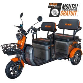 Triciclu electric Cargo RURIS PILOT 3040 G 2000 W