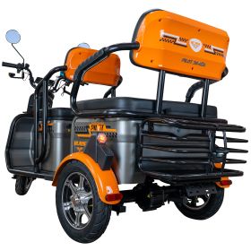 Triciclu electric Cargo RURIS PILOT 3040 G 2000 W