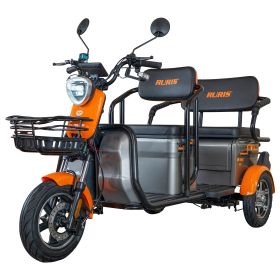 Triciclu electric Cargo RURIS PILOT 3040 G 2000 W