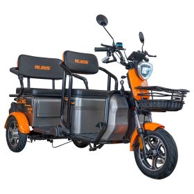 Triciclu electric Cargo RURIS PILOT 3040 G 2000 W