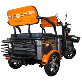 Triciclu electric Cargo RURIS PILOT 3040 G 2000 W