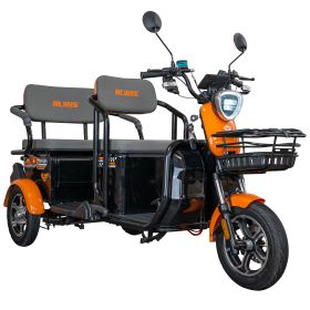 Triciclu electric Cargo RURIS PILOT 3040 N 2000 W