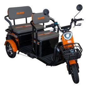 Triciclu electric Cargo RURIS PILOT 3040 N 2000 W