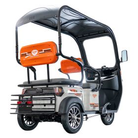 Triciclu electric Cargo RURIS PILOT 3070 A 2900 W