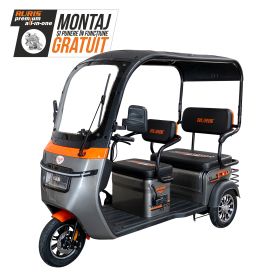 Triciclu electric Cargo RURIS PILOT 3070 G 2900 W