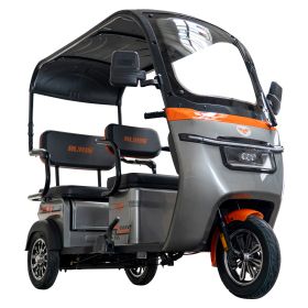 Triciclu electric Cargo RURIS PILOT 3070 G 2900 W