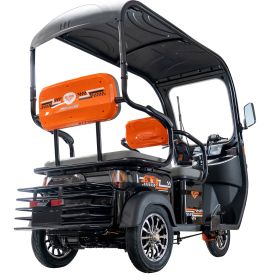 Triciclu electric Cargo RURIS PILOT 3070 N 2900 W