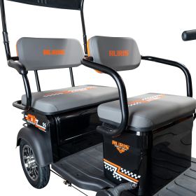 Triciclu electric Cargo RURIS PILOT 3070 N 2900 W