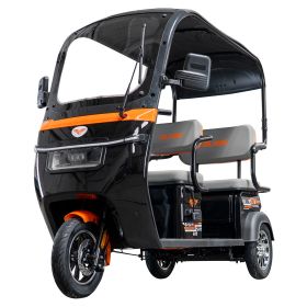 Triciclu electric Cargo RURIS PILOT 3070 N 2900 W