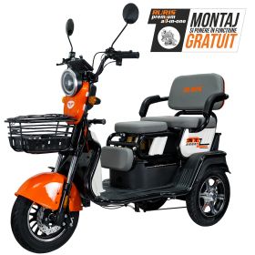 Triciclu electric Cargo RURIS PILOT 3010 A 1600 W