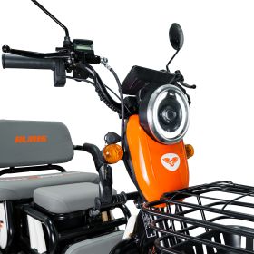 Triciclu electric Cargo RURIS PILOT 3010 A 1600 W