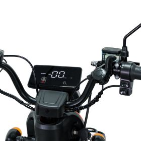 Triciclu electric Cargo RURIS PILOT 3010 A 1600 W
