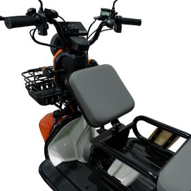 Triciclu electric Cargo RURIS PILOT 3010 A 1600 W